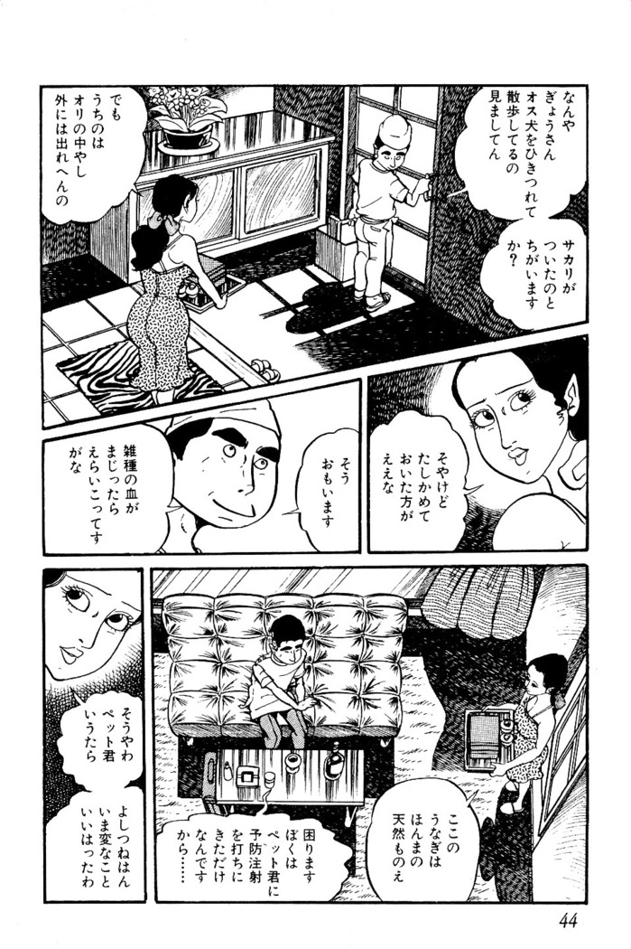 Koushoku Pet Sensei