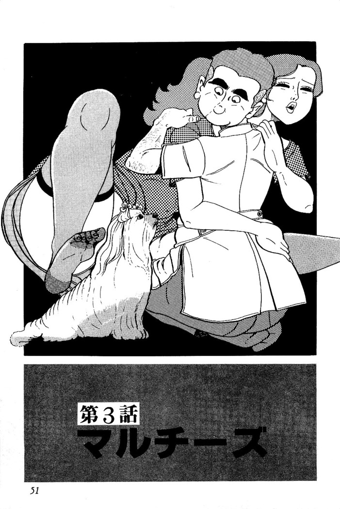 Koushoku Pet Sensei
