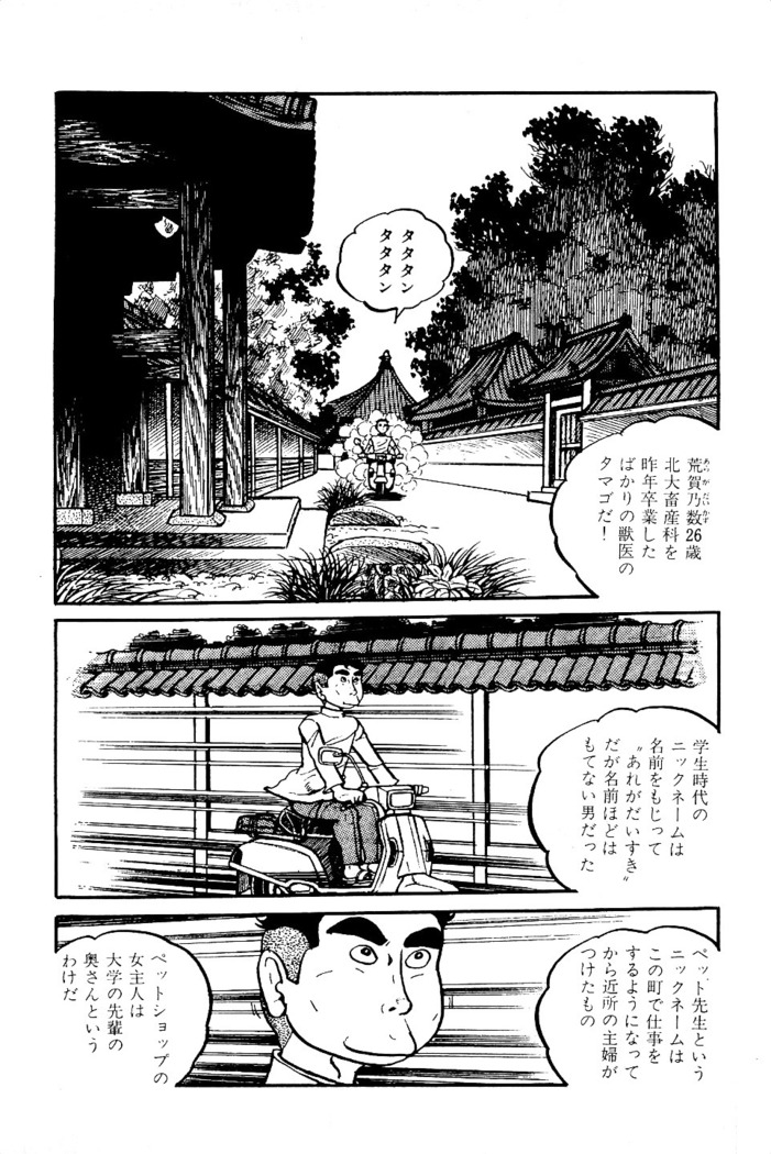 Koushoku Pet Sensei
