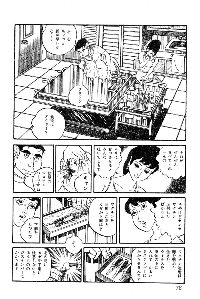 Koushoku Pet Sensei