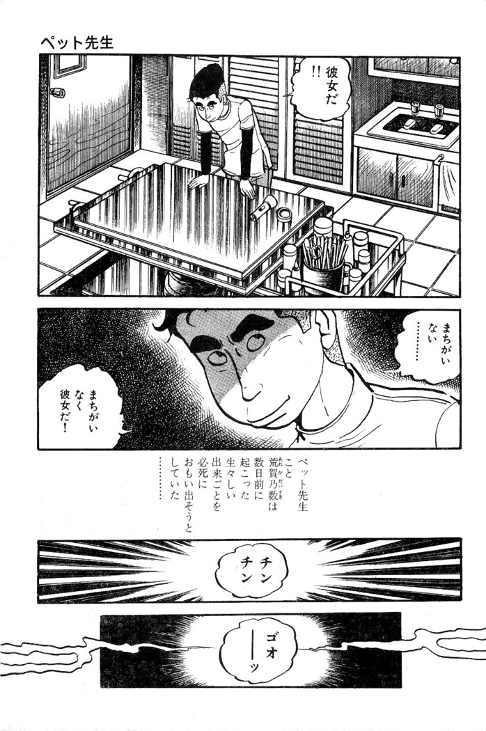 Koushoku Pet Sensei