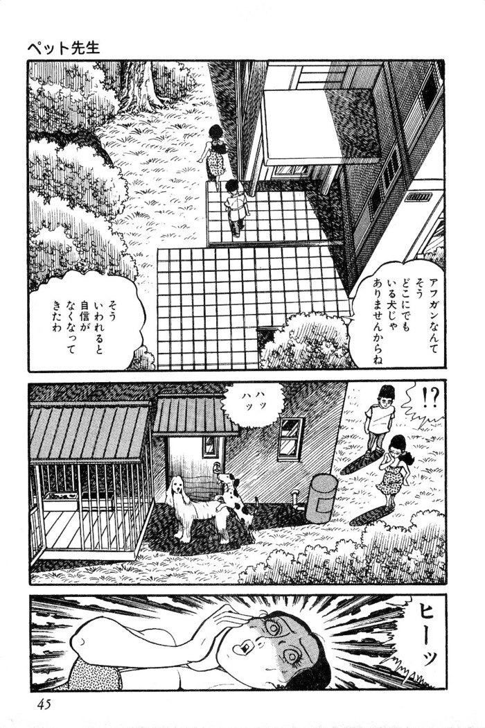 Koushoku Pet Sensei