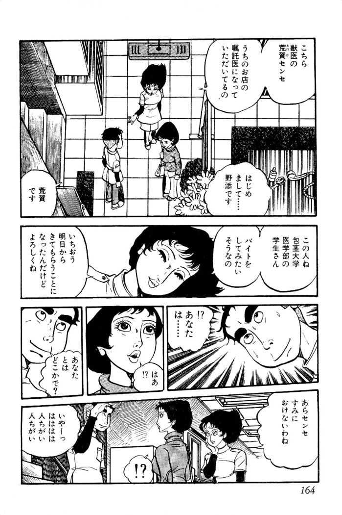 Koushoku Pet Sensei