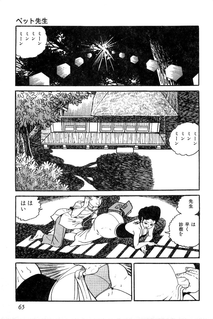 Koushoku Pet Sensei