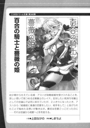 ランプの魔神が美女だったので、恋人にして同棲性活を始めてみた - Page 259