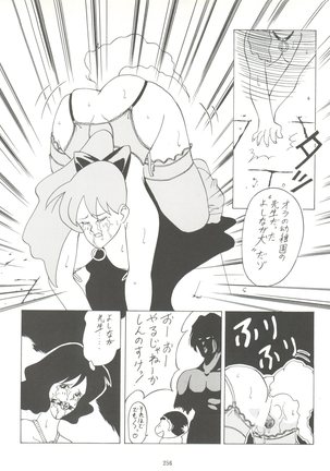 Kage no Nan Demo-R Page #256