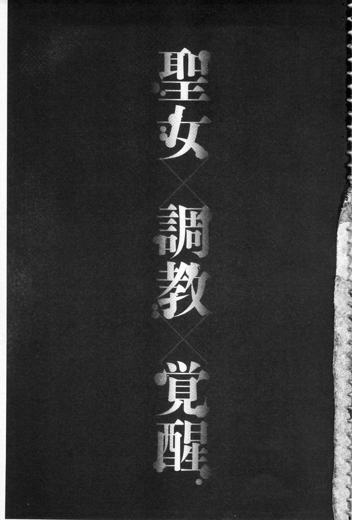 Seida Inyou -Seijo no Katachi Shita Intou- | 聖墮陰陽 -聖女的容貌與淫蕩-