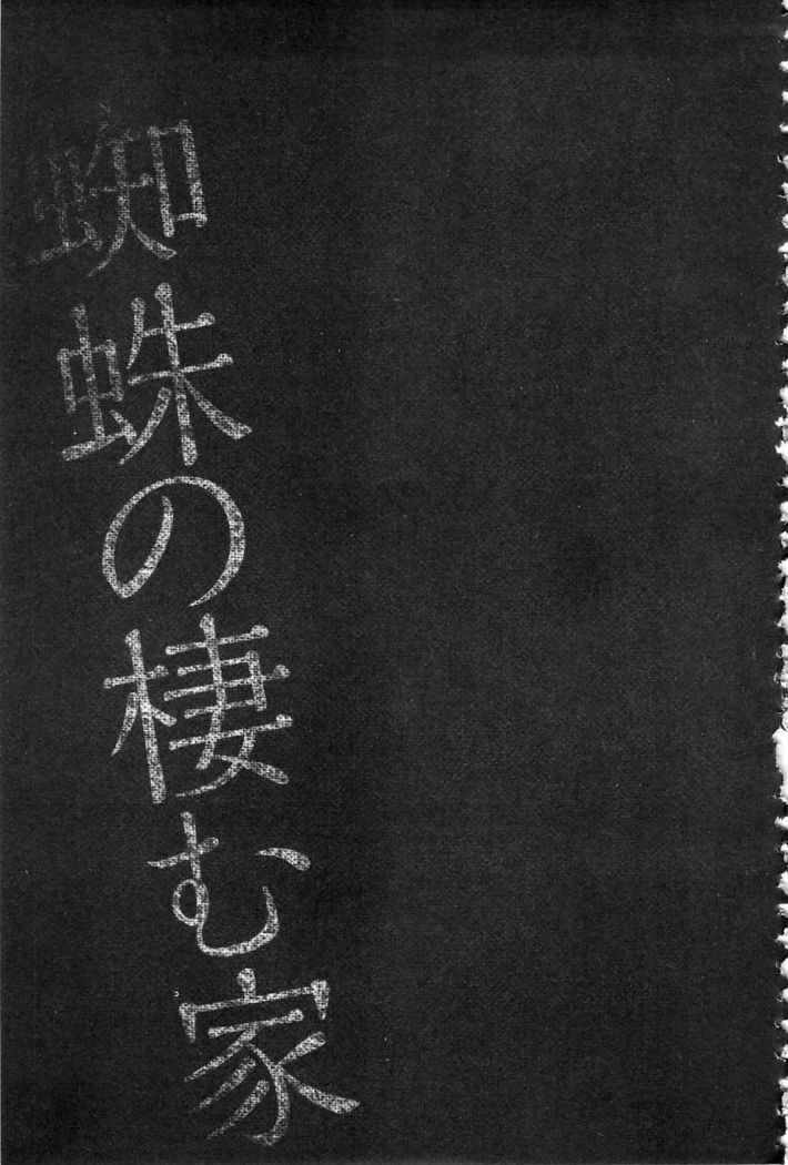 Seida Inyou -Seijo no Katachi Shita Intou- | 聖墮陰陽 -聖女的容貌與淫蕩-
