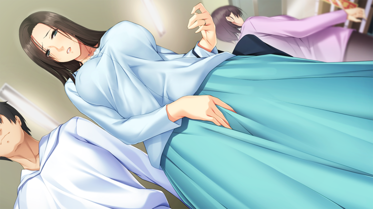 Kairaku Ochi Suru Anezuma ~Otto no Tame ni Midara na Youkyuu ni Sakaraenai~