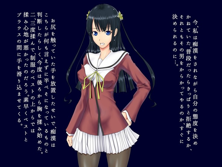 生徒会長 雨総琴乃の淫奔な日常 第二季