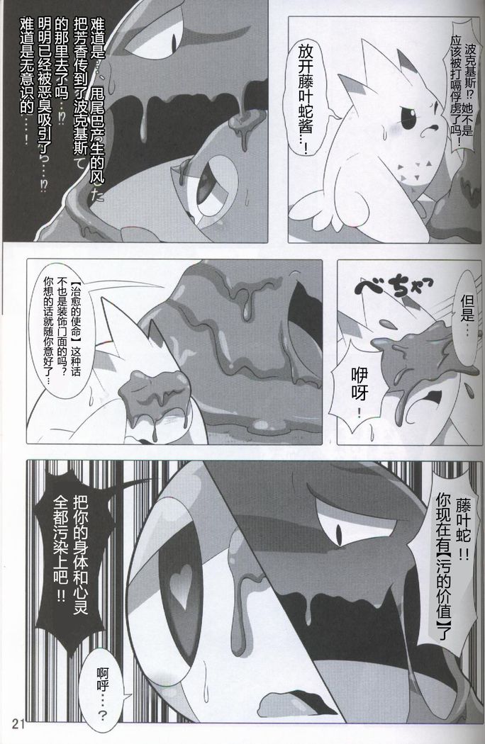 Pokéda | 宝可堕