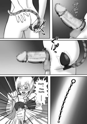 こんなふうにマゾにされていくのね。ニューハーフ娼婦露出調教旅行 | Transsexual prostitute exhibitionist training trip Page #20