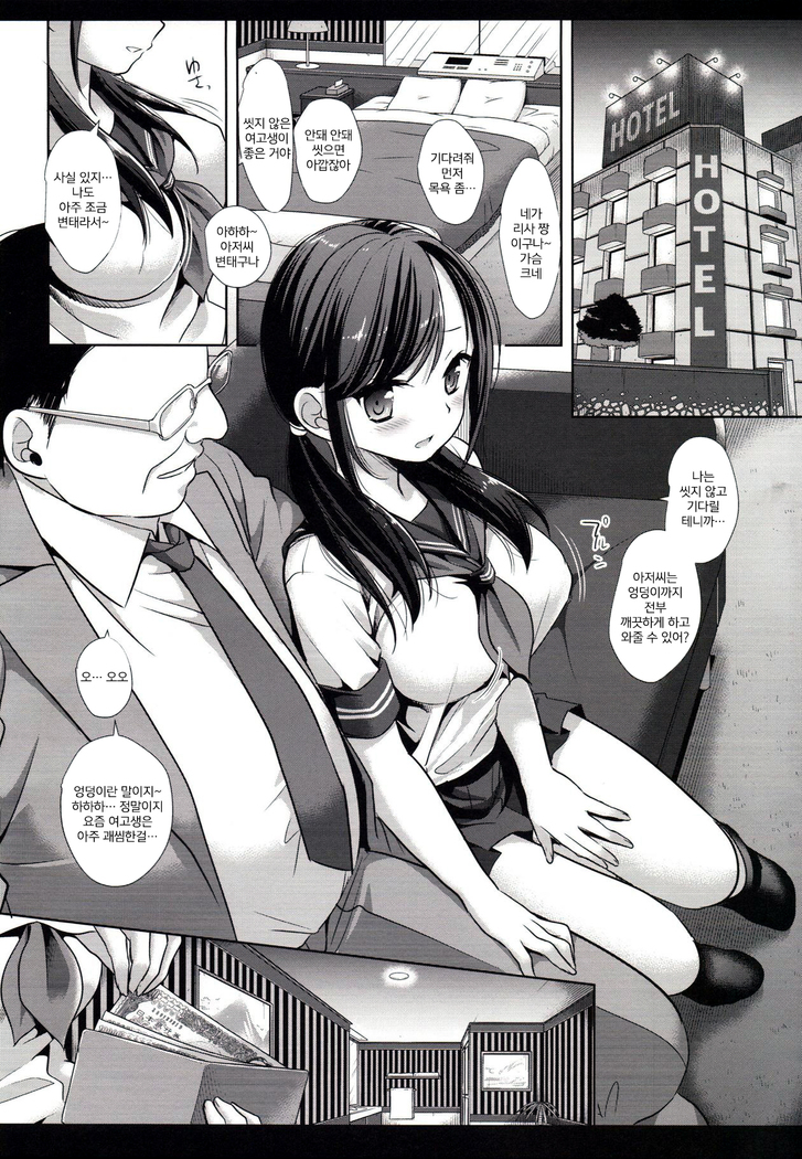 Joshikousei Shuudan Chikan Densha 3 | JK 집단 치한 전철 3