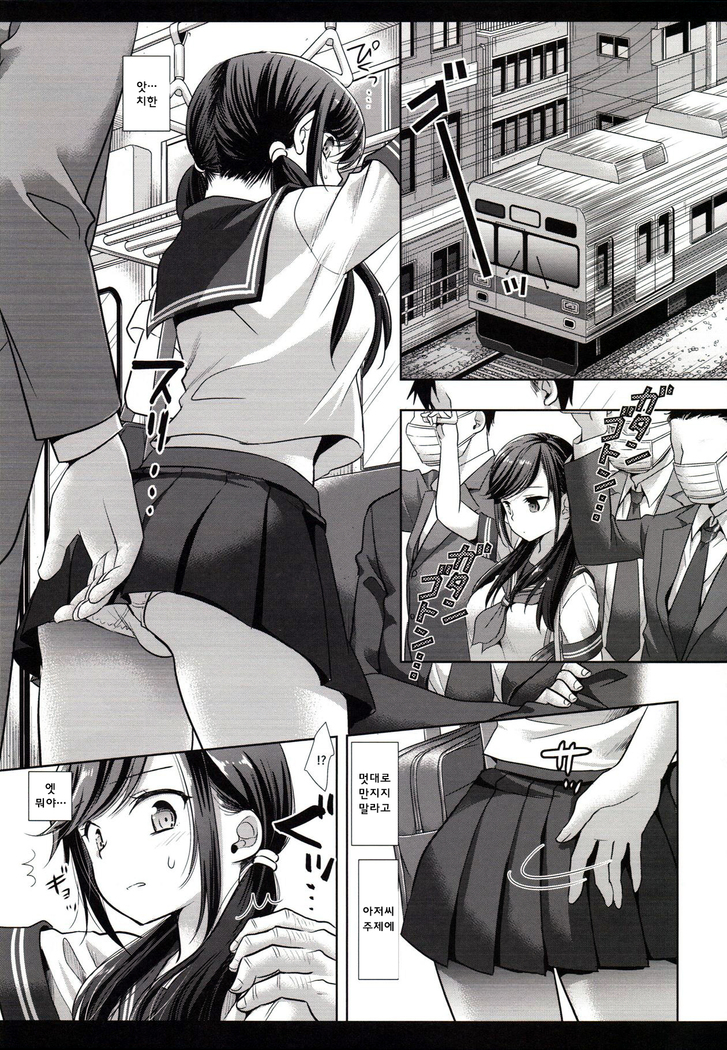 Joshikousei Shuudan Chikan Densha 3 | JK 집단 치한 전철 3