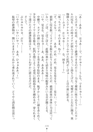 クールな女軍人がエッチなおねえさんに変わるまで - Page 228