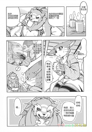 Image 5086696