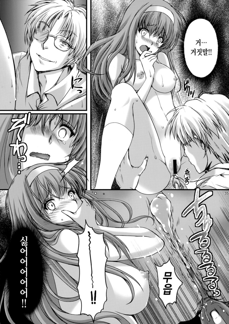 Shiori Dai-Yon-Shou Futarime no Jushin  Shinsouban