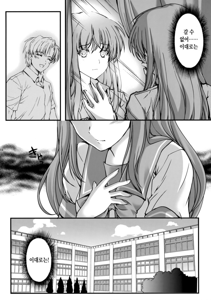 Shiori Dai-Yon-Shou Futarime no Jushin  Shinsouban
