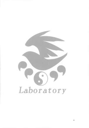 Laboratory Page #4