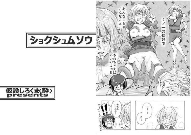Shokushu Musou