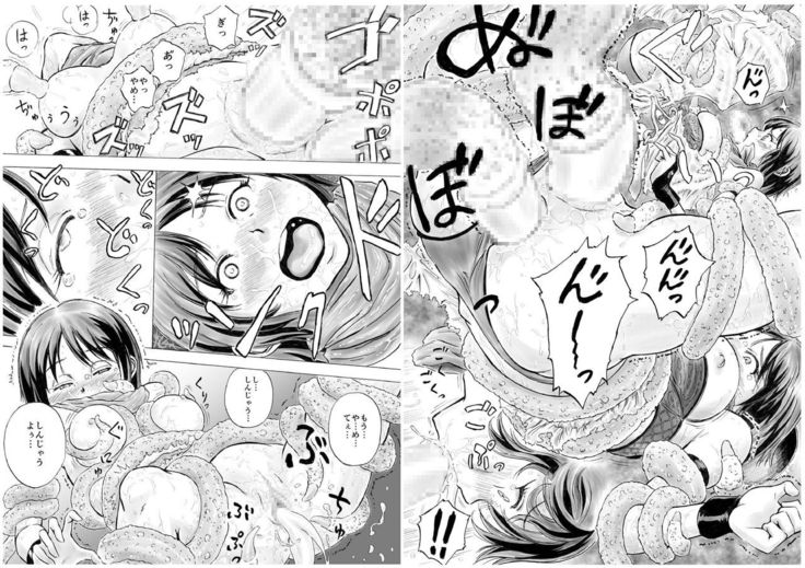 Shokushu Musou