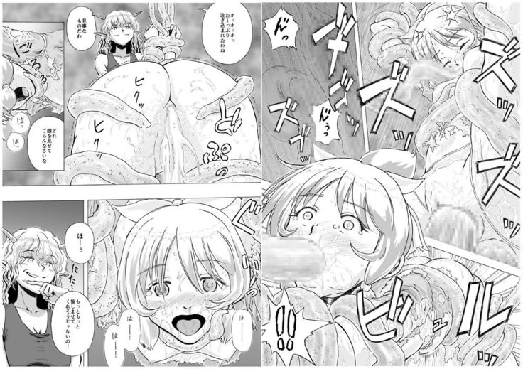 Shokushu Musou