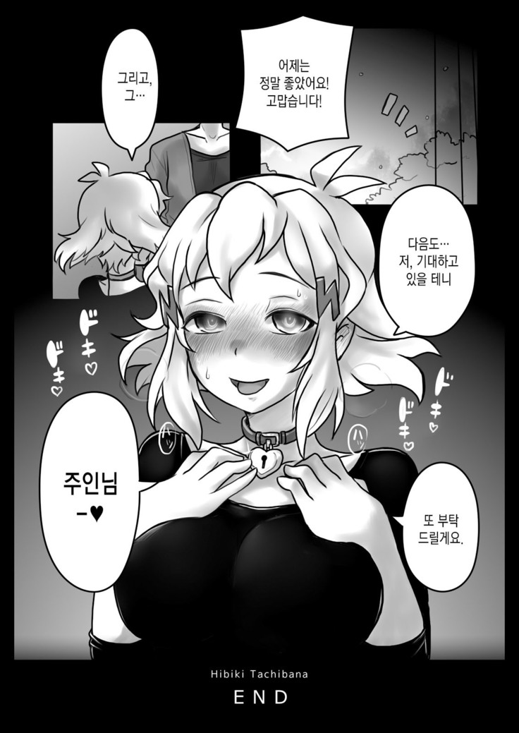 Hana wa Hibiite Ochiru