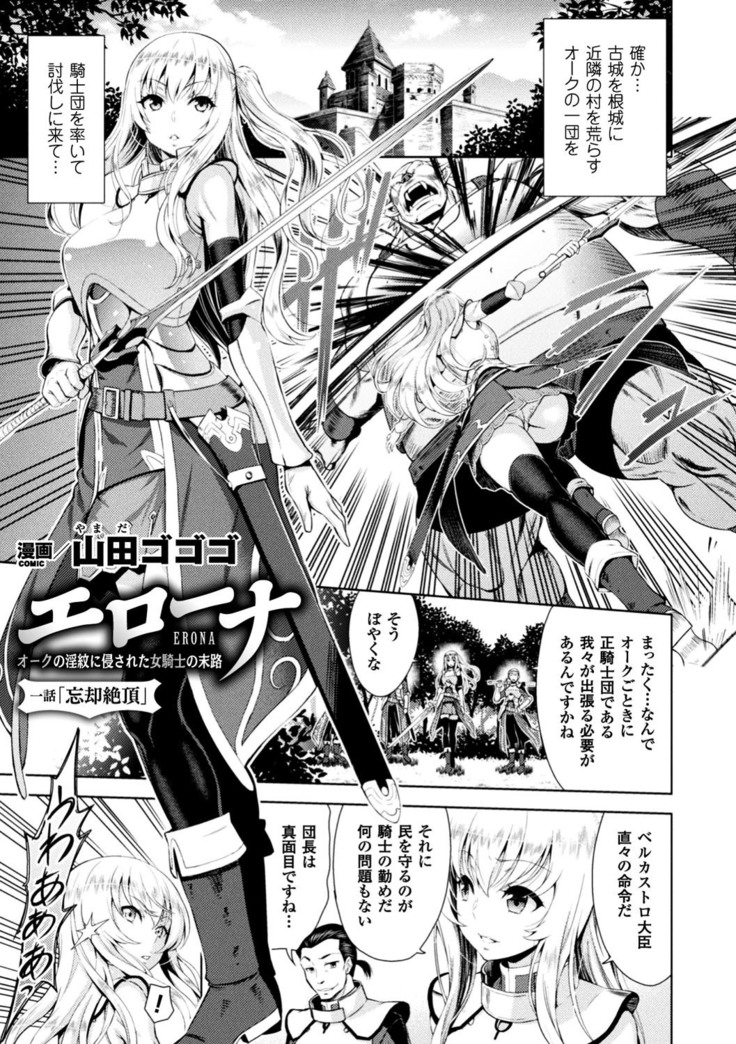 正義のヒロイン姦獄ファイル Vol.13
