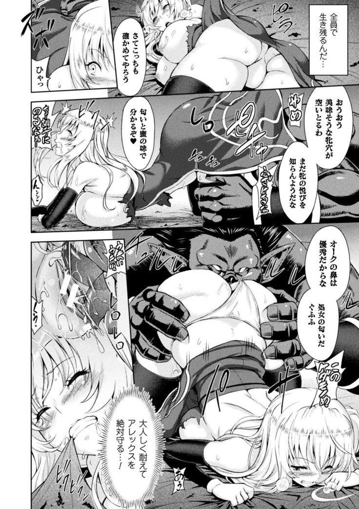 正義のヒロイン姦獄ファイル Vol.13