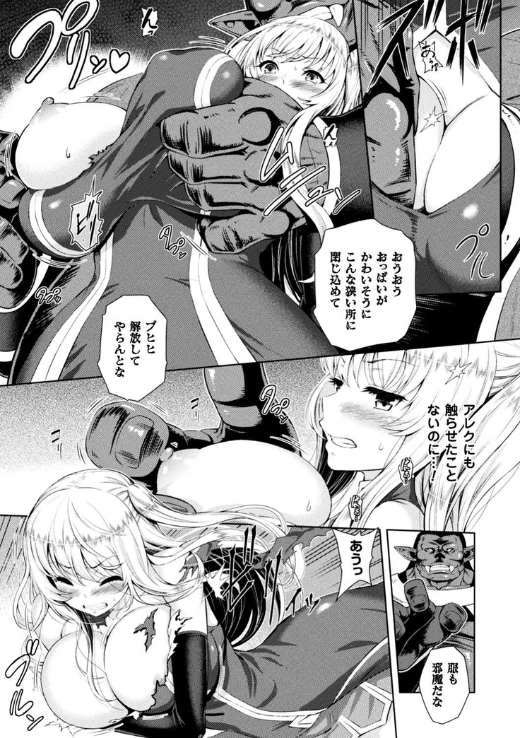 正義のヒロイン姦獄ファイル Vol.13
