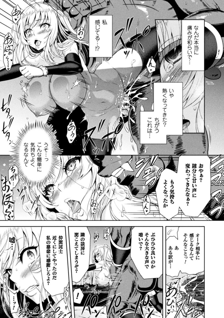 正義のヒロイン姦獄ファイル Vol.13