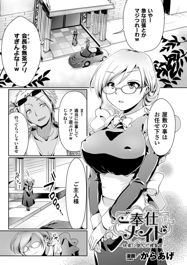 正義のヒロイン姦獄ファイル Vol.13