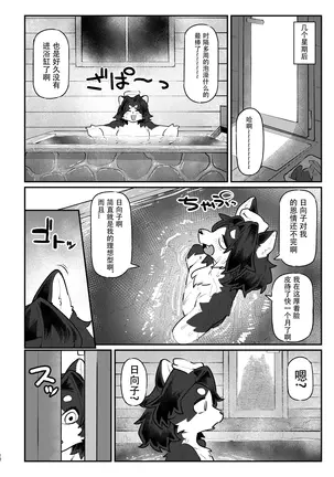 Image 14329803