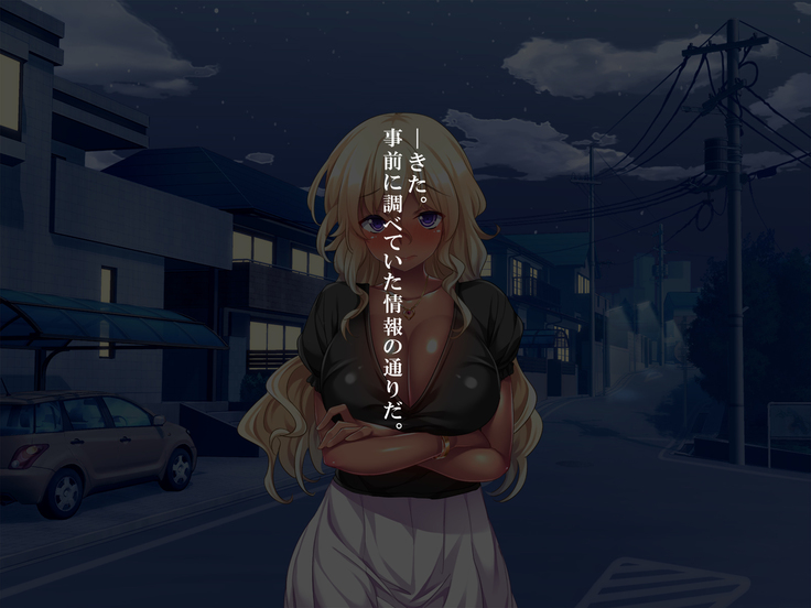 Bou YariCir Kanzen Kanshuu - Shinnyuusei no Pakorikata Manual