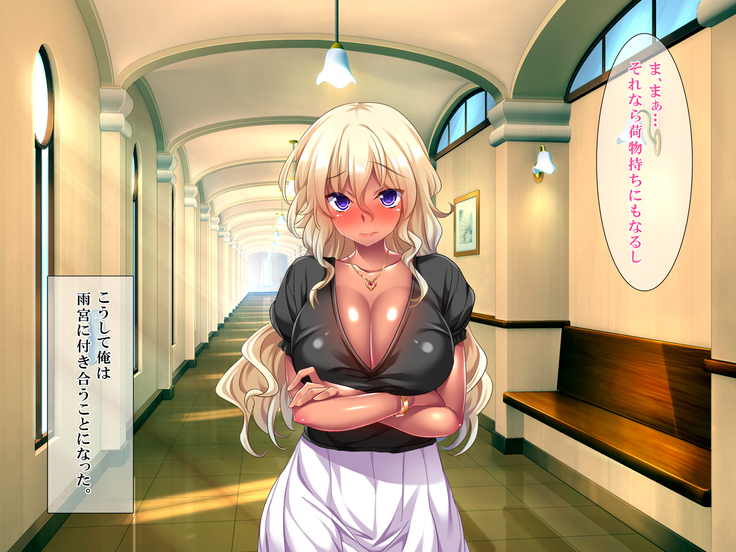 Bou YariCir Kanzen Kanshuu - Shinnyuusei no Pakorikata Manual