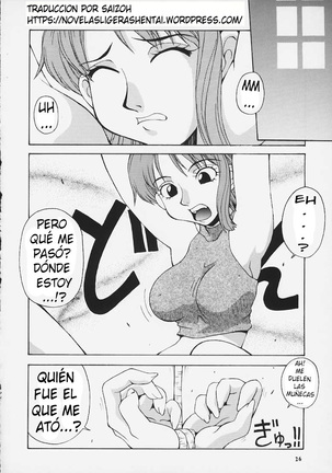 Nyan Nyan Love Nami II - Page 24