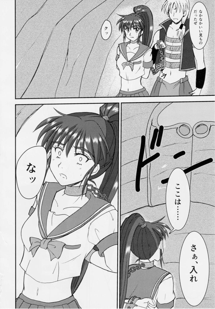 謎の赤猫団 聖獣伝 20周年記念本 淫獣大聖戦 亜衣のいちばん長い日