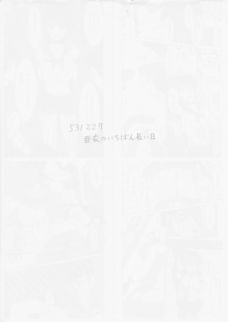 謎の赤猫団 聖獣伝 20周年記念本 淫獣大聖戦 亜衣のいちばん長い日