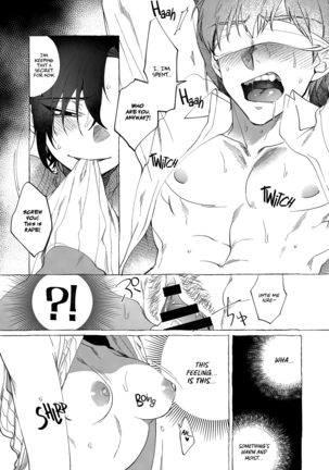 Pet Dog & Studio Apartment Page #14