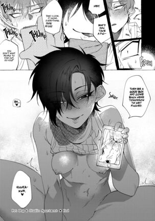 Pet Dog & Studio Apartment Page #21