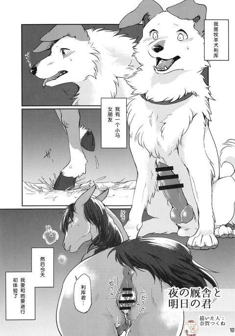 Image 7002656
