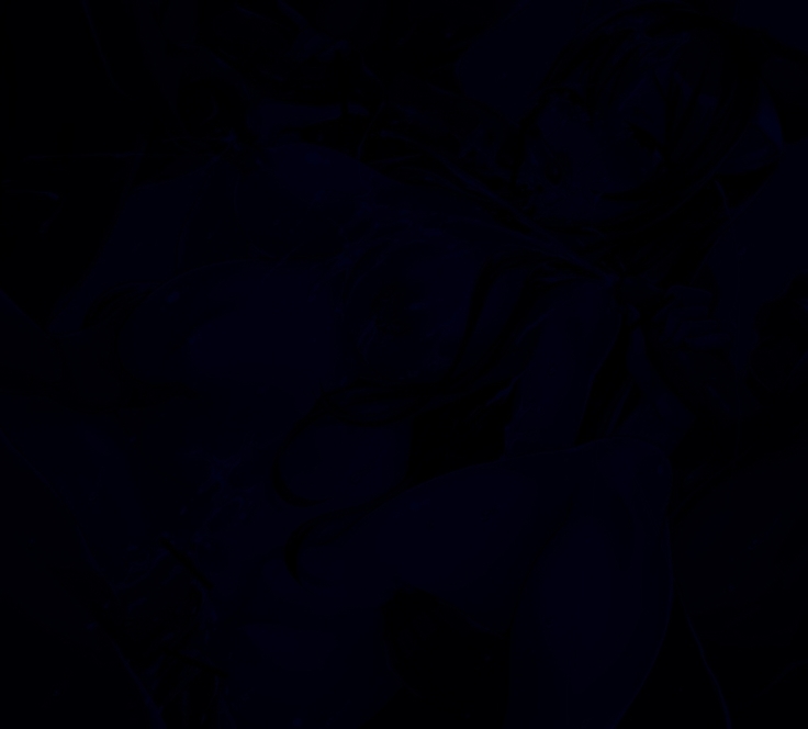 リク絵　ルーシーちゃん