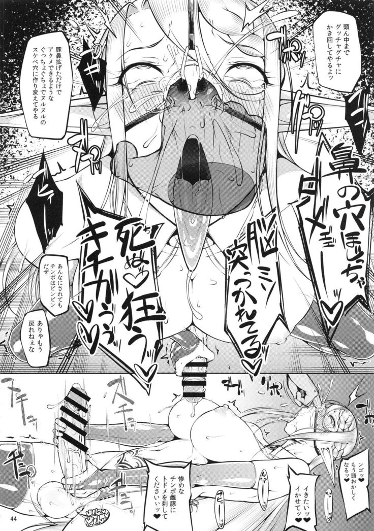 Kago no Naka no Tori Daiisshuu