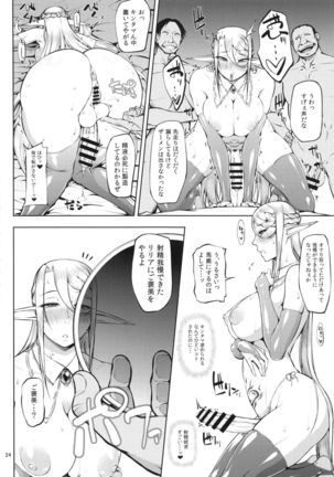 Kago no Naka no Tori Daiisshuu Page #25