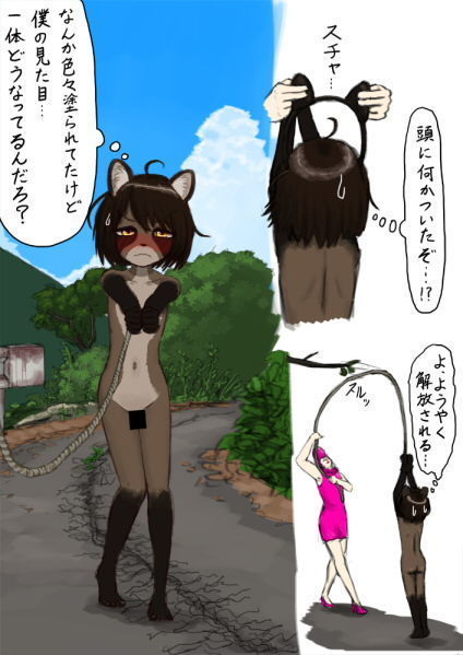Moved to a country side, became a salacious raccoon.