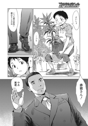 Image 3789336