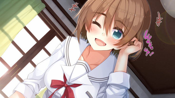 悪魔のメモ帳～チキンくん、排球少女と夢をみる～