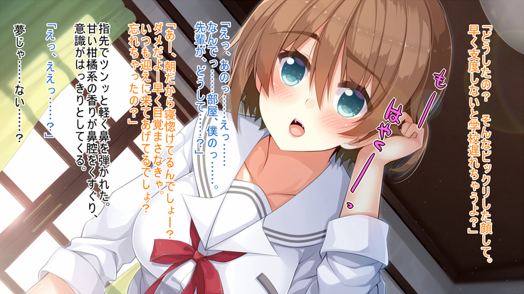 悪魔のメモ帳～チキンくん、排球少女と夢をみる～
