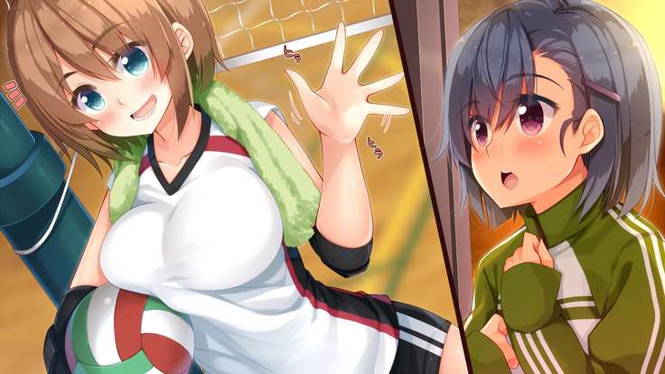 悪魔のメモ帳～チキンくん、排球少女と夢をみる～