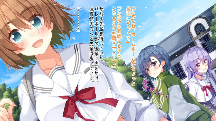 悪魔のメモ帳～チキンくん、排球少女と夢をみる～